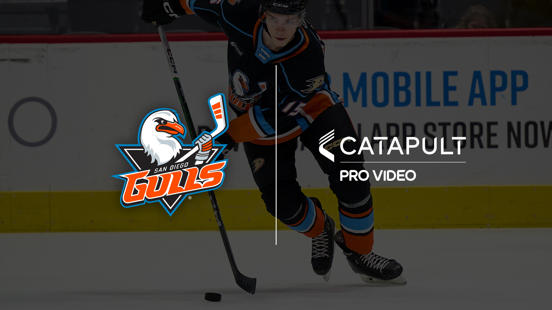 Un joueur de hockey des San Diego Gulls en action sur la glace, présentant côte à côte le logo des San Diego Gulls et le logo Catapult Pro Video, soulignant leur partenariat dans l'analyse vidéo avancée pour améliorer les performances de l'équipe.